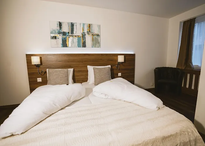 罗密霍夫酒店 酒店 洛伊克巴德