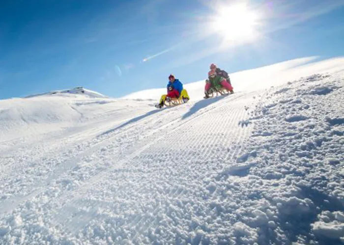 罗密霍夫酒店 酒店