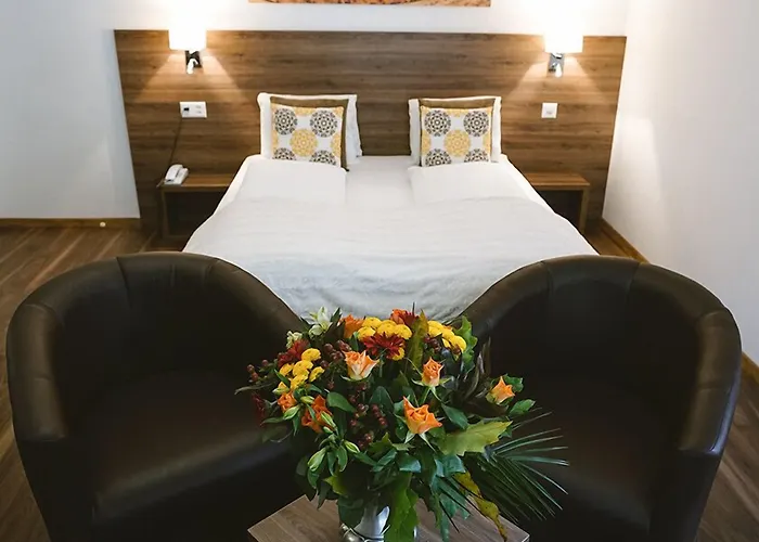 罗密霍夫酒店 洛伊克巴德