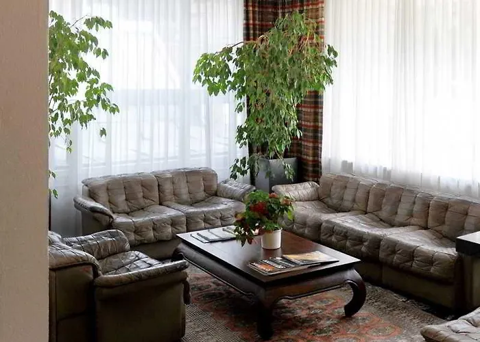 罗密霍夫酒店 3*