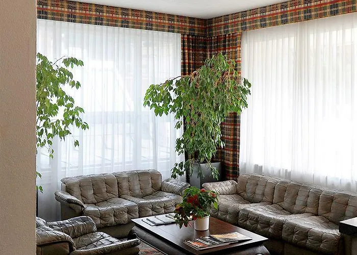 罗密霍夫酒店 3*