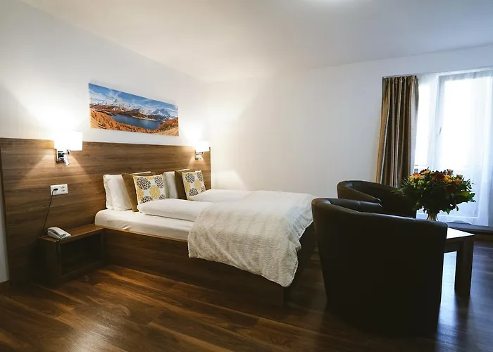 酒店 罗密霍夫酒店 3*