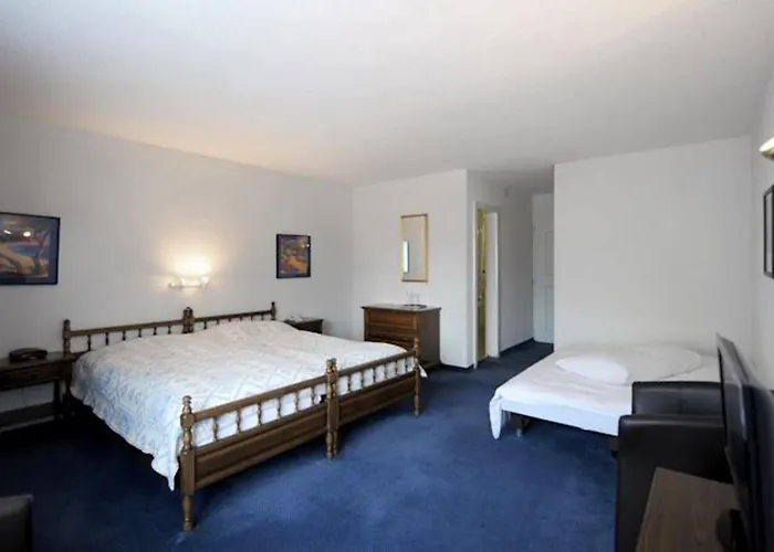 罗密霍夫酒店 酒店 3*